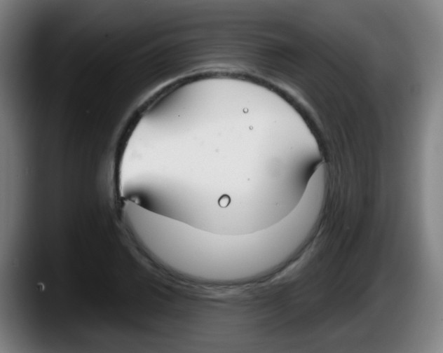 X0000087611030200705251938