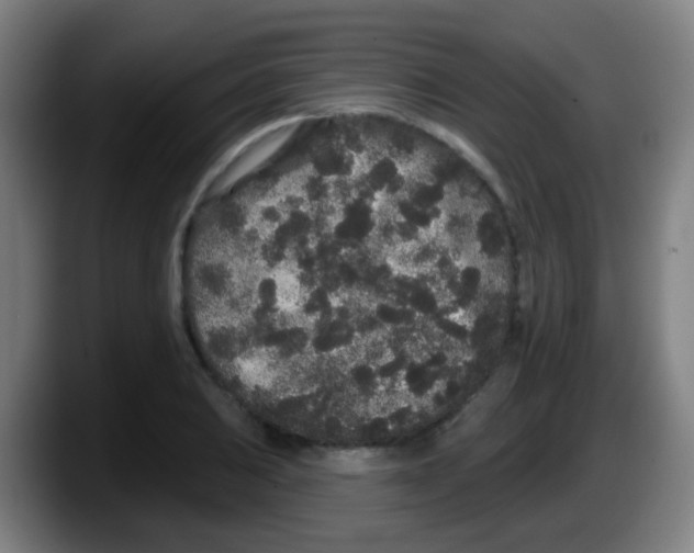 X0000087611031200705251938