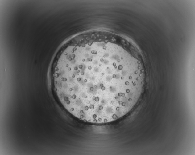 X0000087611032200705251938