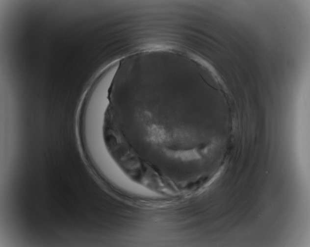 X0000087611034200705251938