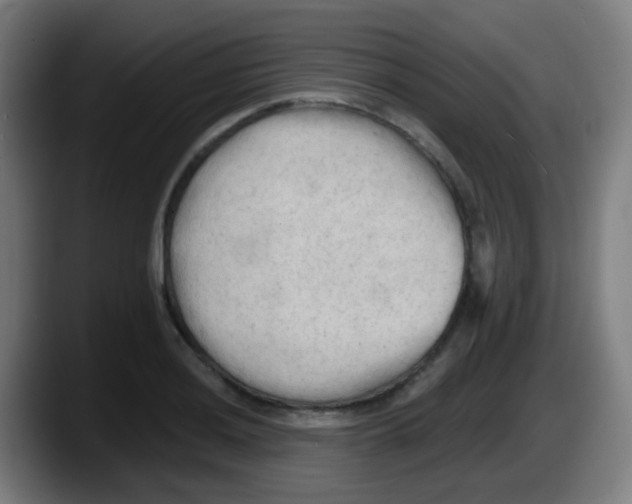 X0000087611036200705251938