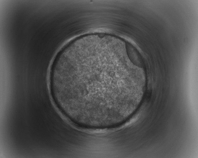 X0000087611038200705251938