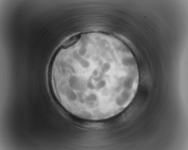 X0000087611039200705251938