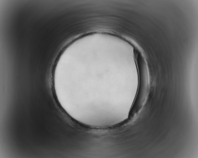 X0000087611040200705251938