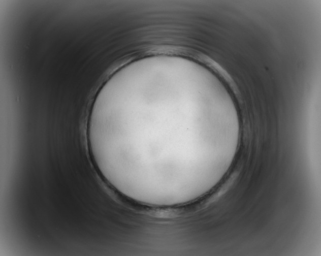 X0000087611041200705251938