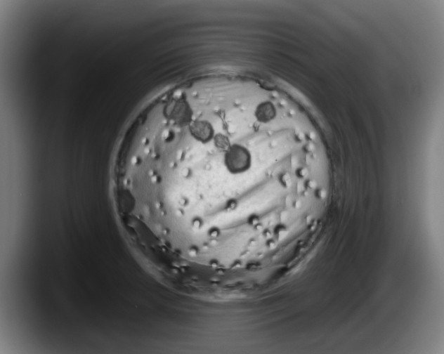 X0000087611042200705251938