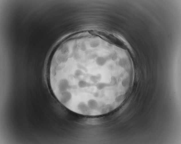 X0000087611043200705251938