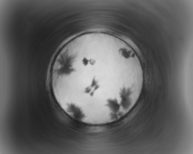 X0000087611044200705251938