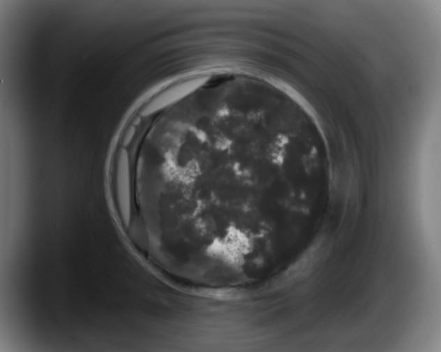 X0000087611045200705251938