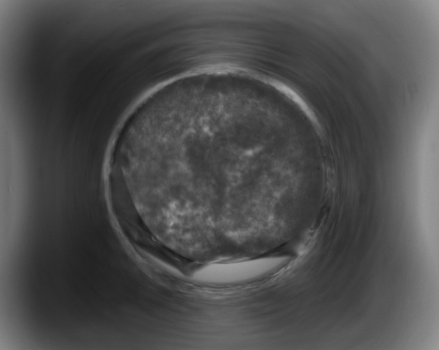 X0000087611046200705251938