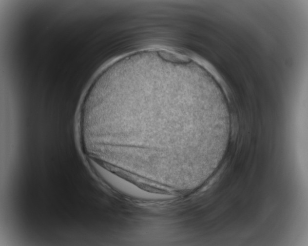 X0000087611048200705251938