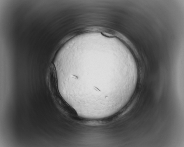 X0000087611049200705251938