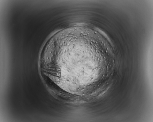 X0000087611050200705251938