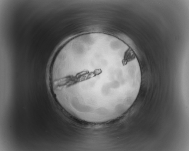 X0000087611051200705251938