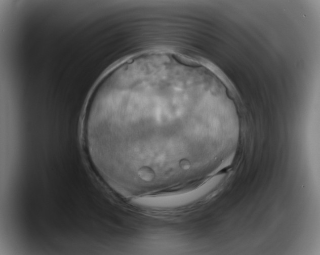 X0000087611052200705251938