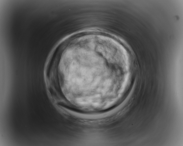 X0000087611054200705251938