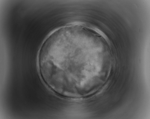 X0000087611055200705251938