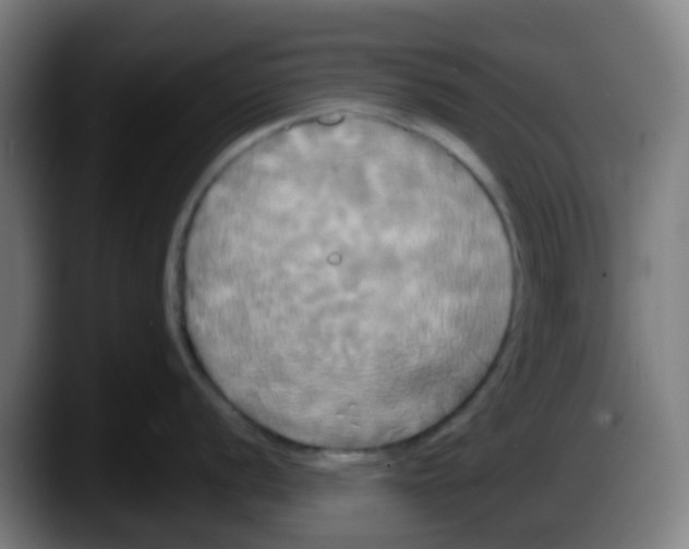 X0000087611056200705251938