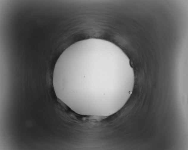 X0000087611058200705251938