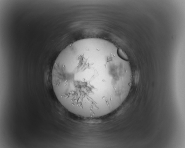 X0000087611059200705251938