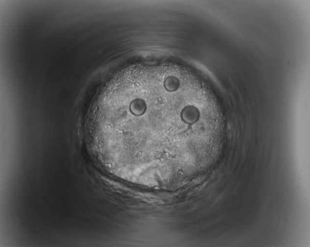 X0000087611063200705251938