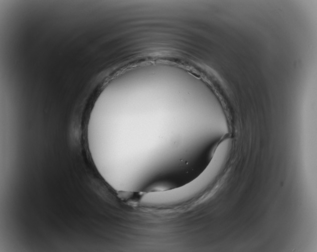 X0000087611065200705251938