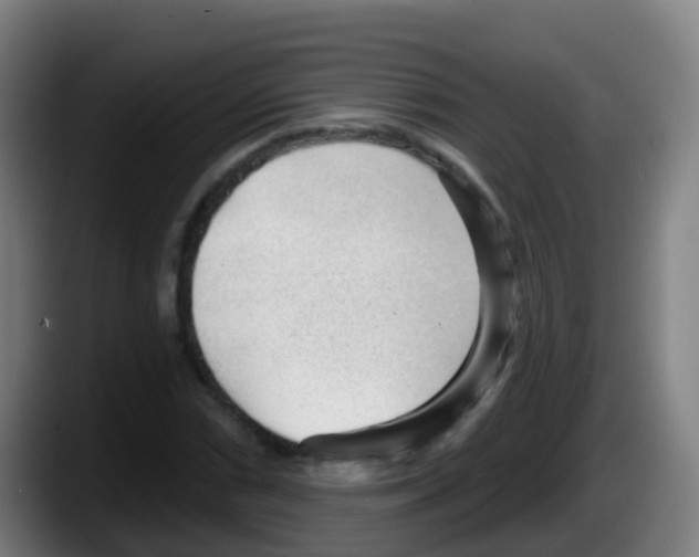 X0000087611066200705251938