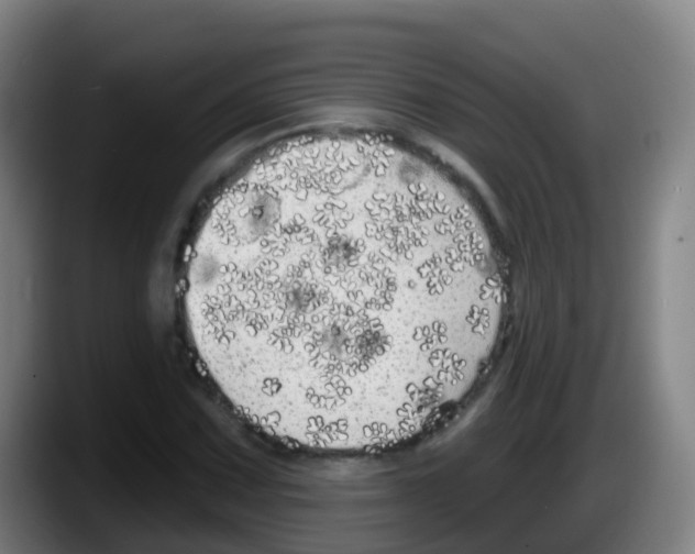 X0000087611067200705251938