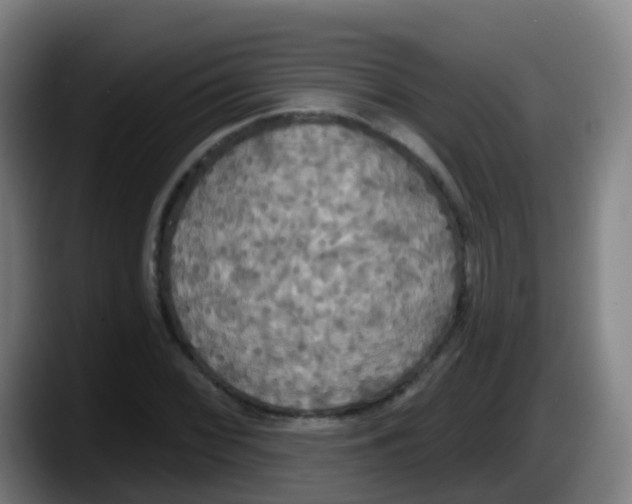 X0000087611068200705251938