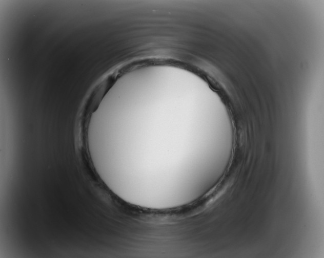 X0000087611069200705251938