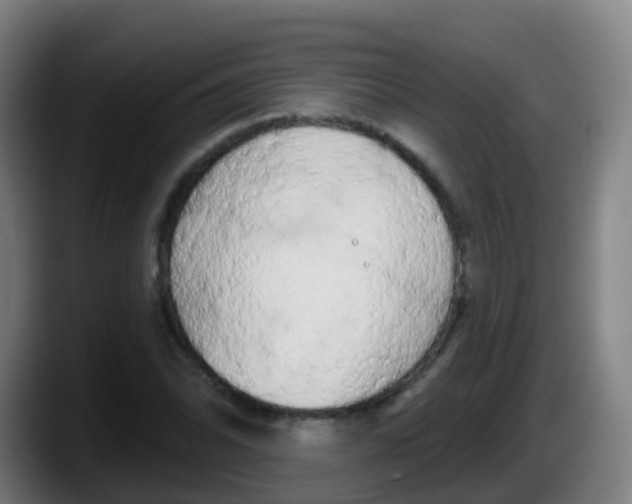 X0000087611070200705251938