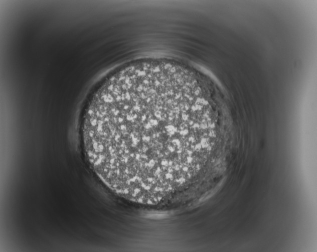 X0000087611071200705251938