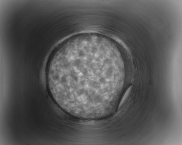 X0000087611072200705251938