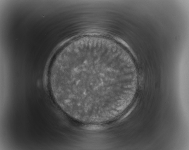 X0000087611074200705251938