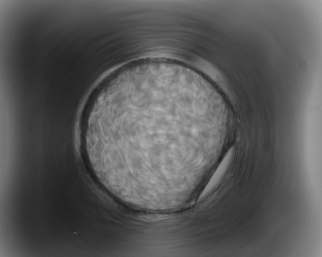 X0000087611076200705251938