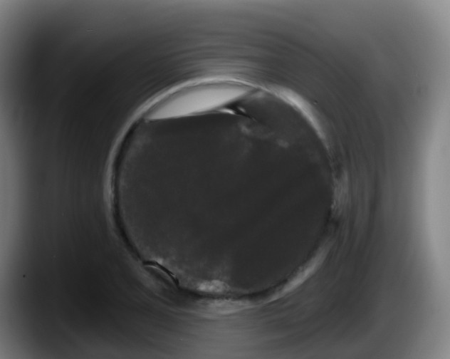 X0000087611077200705251938