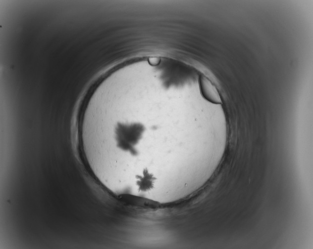 X0000087611080200705251937