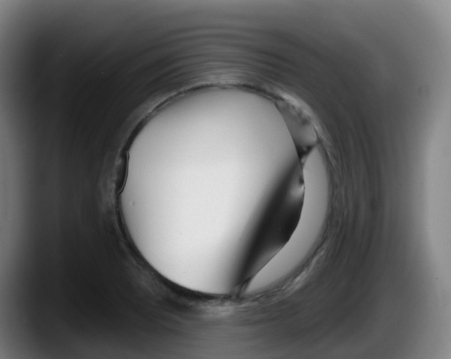 X0000087611081200705251937