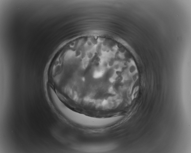 X0000087611083200705251937