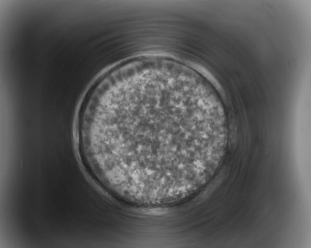 X0000087611084200705251937