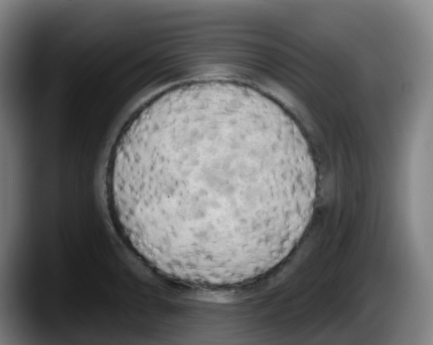 X0000087611086200705251937