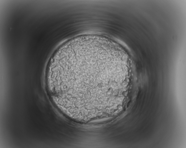 X0000087611087200705251937