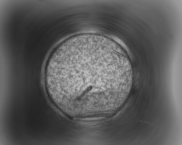 X0000087611088200705251937