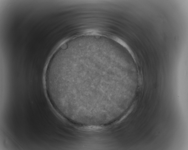 X0000087611090200705251937