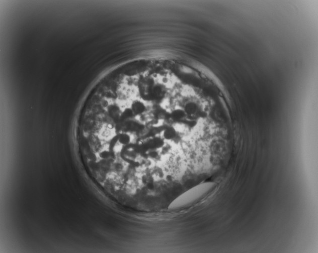 X0000087611091200705251937