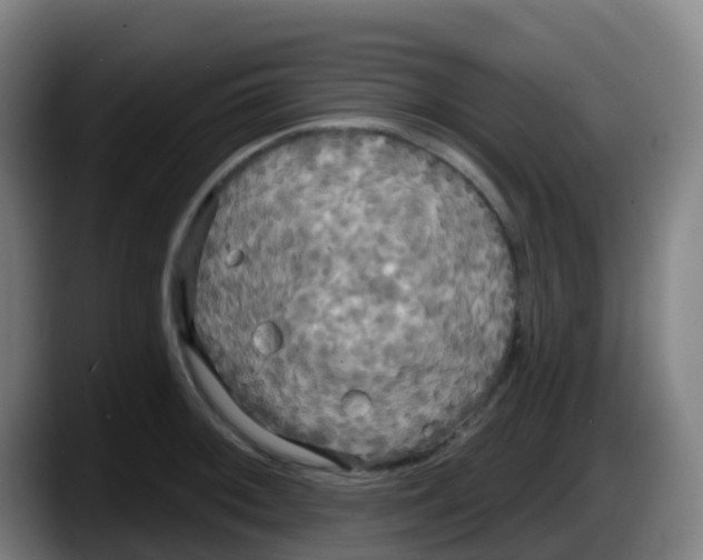 X0000087611092200705251937