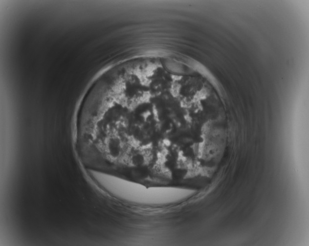 X0000087611095200705251937