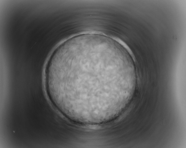 X0000087611096200705251937