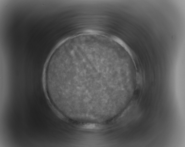 X0000087611098200705251937