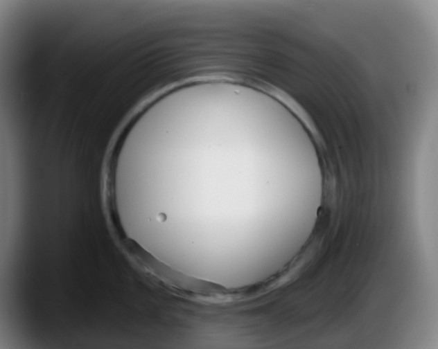 X0000087611101200705251937